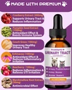 cat-dog-urinary-tract-infection-treatmen-4.jpg