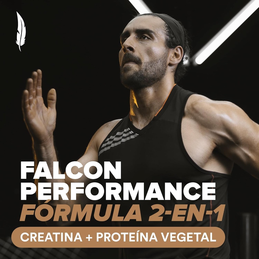 birdman-falcon-performance-premium-sport-2.jpg