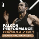 birdman-falcon-performance-premium-sport-2.jpg