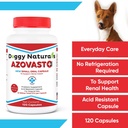 azovast-plus-kidney-health-supplement-fo-5.jpg