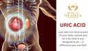 uric-acid-support-formula---uric-acid-le-6.jpg