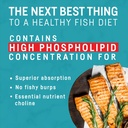 kori-krill-oil-omega-3-supplement-antarc-3.jpg