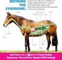 horse-digestion-supplement-to-immediatel-4.jpg