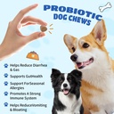 natural-probiotic-digestive-supplement-f-2.jpg