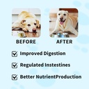 natural-probiotic-digestive-supplement-f-3.jpg