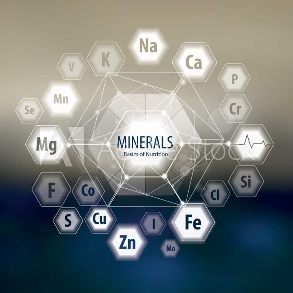 fulvic-acid-himalayan-shilajet-resin-10g-4.jpg