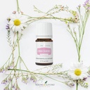 young-living---german-chamomile-vitality-3.jpg