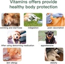 dog-vitamins-and-supplements-senior-pupp-4.jpg