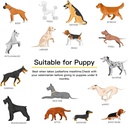 dog-vitamins-and-supplements-senior-pupp-5.jpg