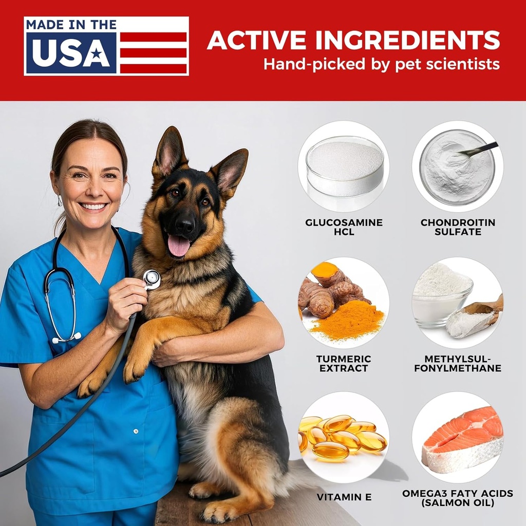 dog-hip-and-joint-supplement---dog-pain--2.jpg