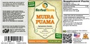 muira-puama-ptychopetalum-olacoides-tinc-2.jpg