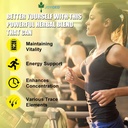 Pure Himalayan Shilajit Sticks with Natural Honey & Saffron, Easy to Consume,Shilajit Sticks for Energy Support, Vitality,Immune,85+ Trace Minerals, Fulvic Acid for Men & Women- 30 Sticks (1) 5