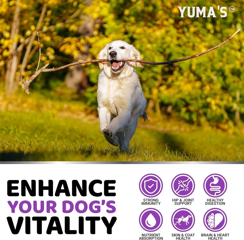 2-Pack Dog Multivitamin Chewable with Glucosamine - Dog Vitamins and Supplements - Senior & Puppy Multivitamin for Dogs - Hip & Joint Support - Immune Health, Skin, Heart, Digestion, Probiotics 5