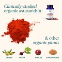 ora-organic-skin-health-supplement---sun-6.jpg
