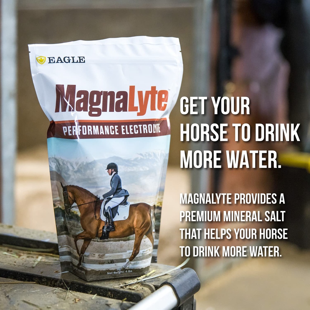 magnalyte-loose-salt-and-electrolytes-fo-3.jpg