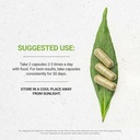 secrets-of-the-tribe-artichoke-and-yarro-3.jpg