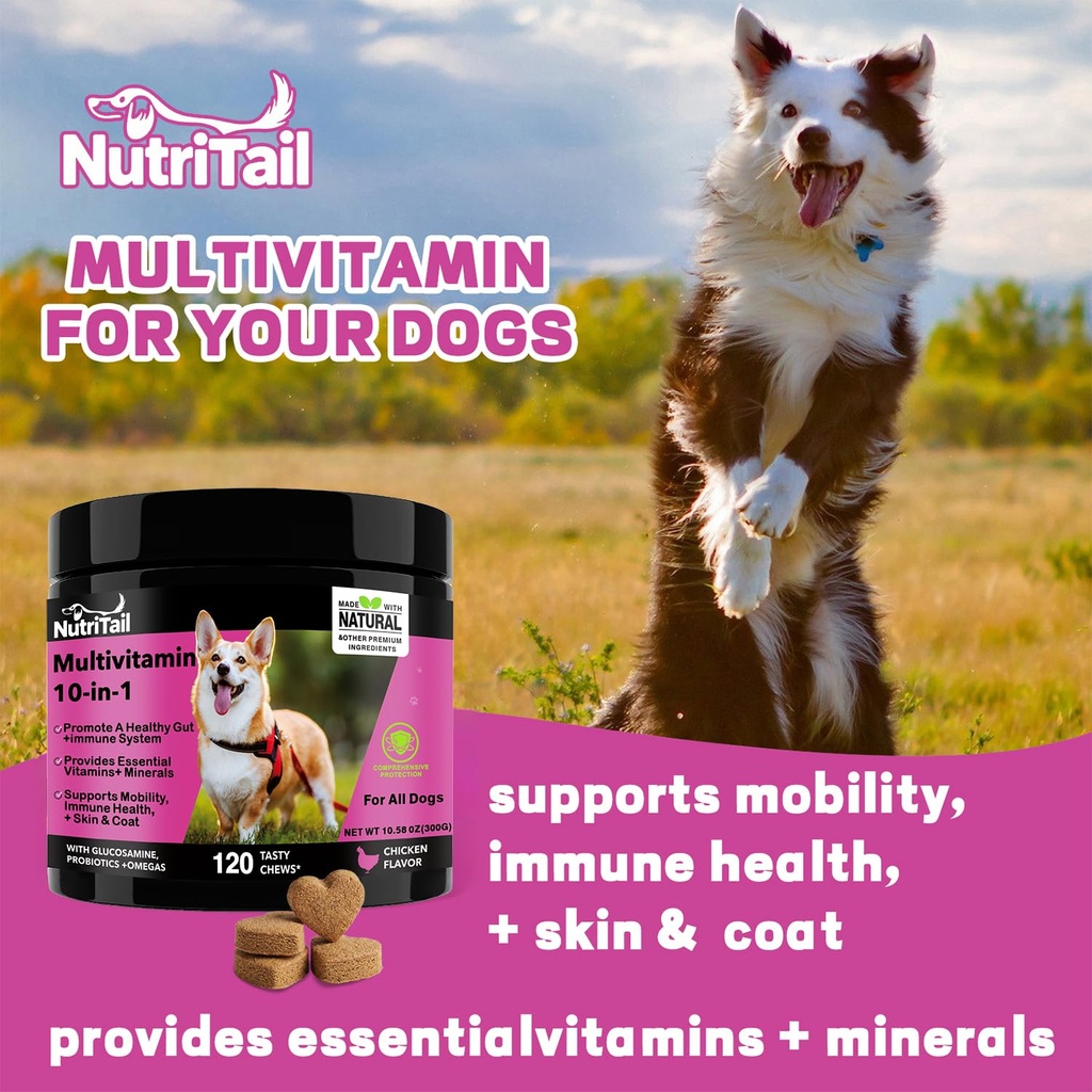 nutritrail-multivitamin-for-dogs-10-in-1-4.jpg