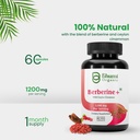 berberine-supplement-1200mg-with-ceylon--3.jpg
