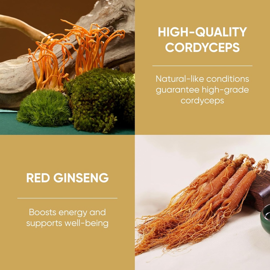 dong-thao-nam---organic-red-ginseng-and--5.jpg