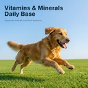 lactoferrin-supplements-for-dogs-powder--5.jpg