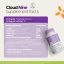 cloud-9---all-natural-sleep-aid-suppleme-5.jpg