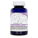 nootropics-depot-cycloastragenol-10-caps-3.jpg