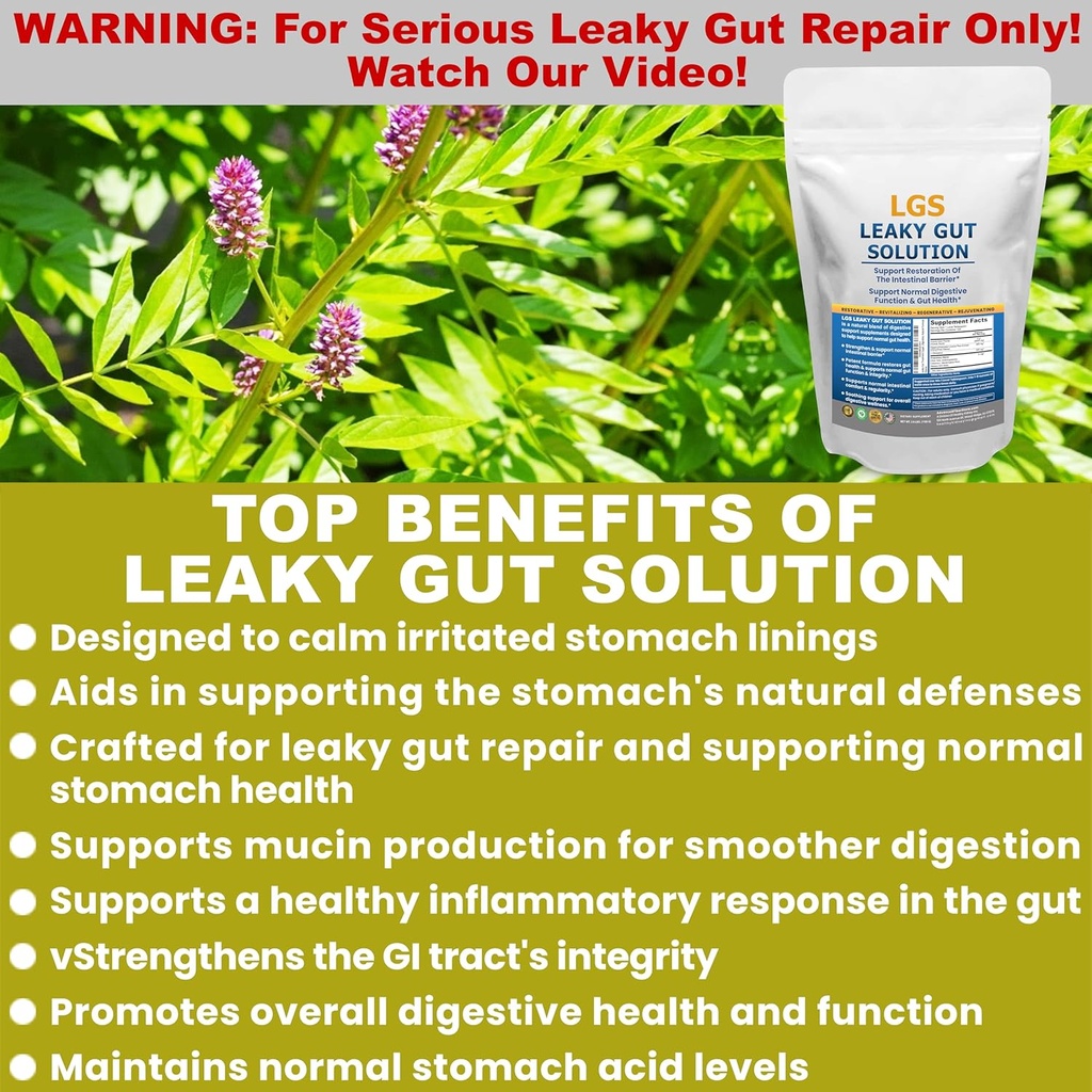 leaky-gut-repair-wl-glutamine-prebiotics-2.jpg