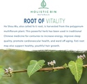 holistic-bin-japanese-he-shou-wu-fo-ti-p-2.jpg