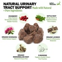 deley-naturals-dog-uti-chews-vet-grade-c-2.jpg