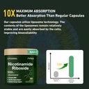 airboy-liposomal-nicotinamide-riboside-9-5.jpg
