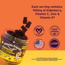 vitamin-friends---elderberry-vitamin-c-g-4.jpg