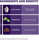 host-defense-mycobotanicals-brain-energy-6.jpg