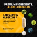 onnit-alpha-brain-nootropic-brain-supple-4.jpg