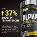 nutrex-research-alpha-t-magnum-testoster-5.jpg