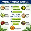 brain-supplements-for-memory-focus-nootr-5.jpg