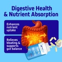 herbtonics-tudca-1000mg-liver-detox-gall-5.jpg