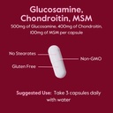 bestvite-glucosamine-chondroitin-msm-500-5.jpg