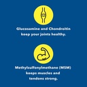 glucosamine-chondroitin-msm-supplement-f-3.jpg