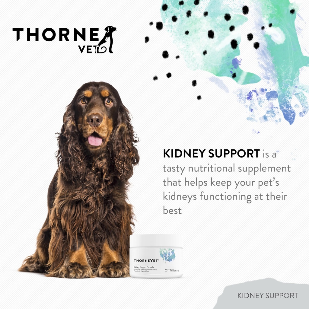 thornevet-kidney-support-for-dogs-cats-p-2.jpg
