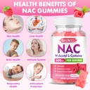 meenccd-2-pack-nac-gummies-n-acetyl-cyst-3.jpg
