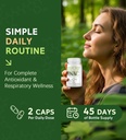 nac-supplement-for-respiratory-immunity--6.jpg