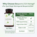 moringa-capsulas-organicas-organic-morin-6.jpg