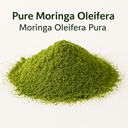 moringa-capsulas-organicas-organic-morin-3.jpg