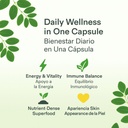 moringa-capsulas-organicas-organic-morin-5.jpg