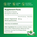 ibgard-gut-health-supplement-peppermint--6.jpg