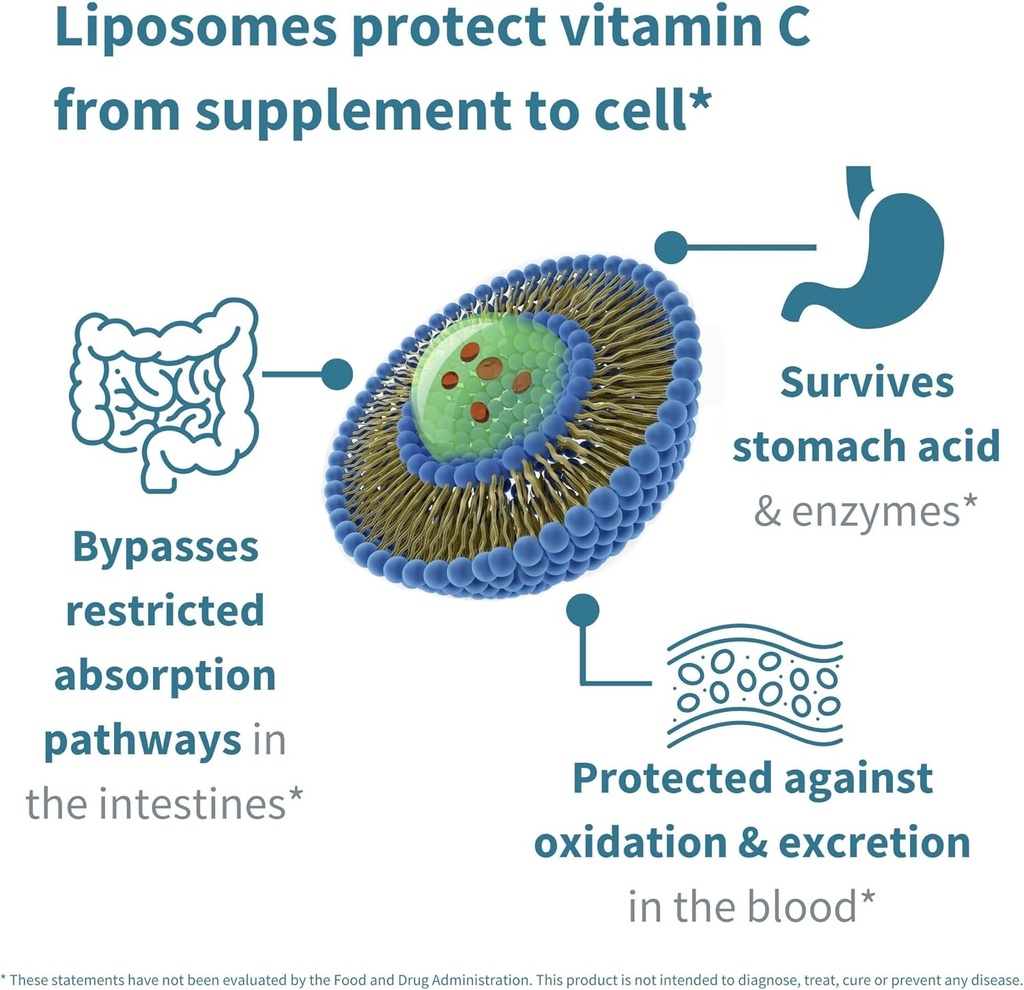 high-absorption-liposomal-vitamin-c-1000-4.jpg