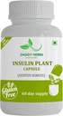 generic-jaggy-premium-insulin-plant-caps-5.jpg