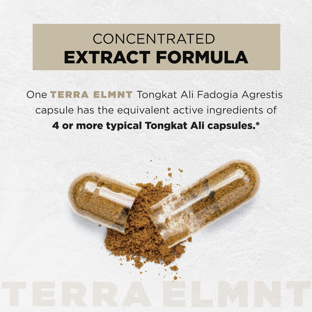 200x-strength-tongkat-ali-for-men-w-fado-3.jpg