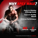 5-pack-apex-male-capsules-official-apexm-4.jpg