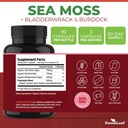 forestleaf-organic-irish-sea-moss-capsul-3.jpg